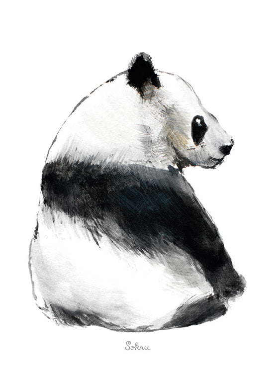 Panda-kortti